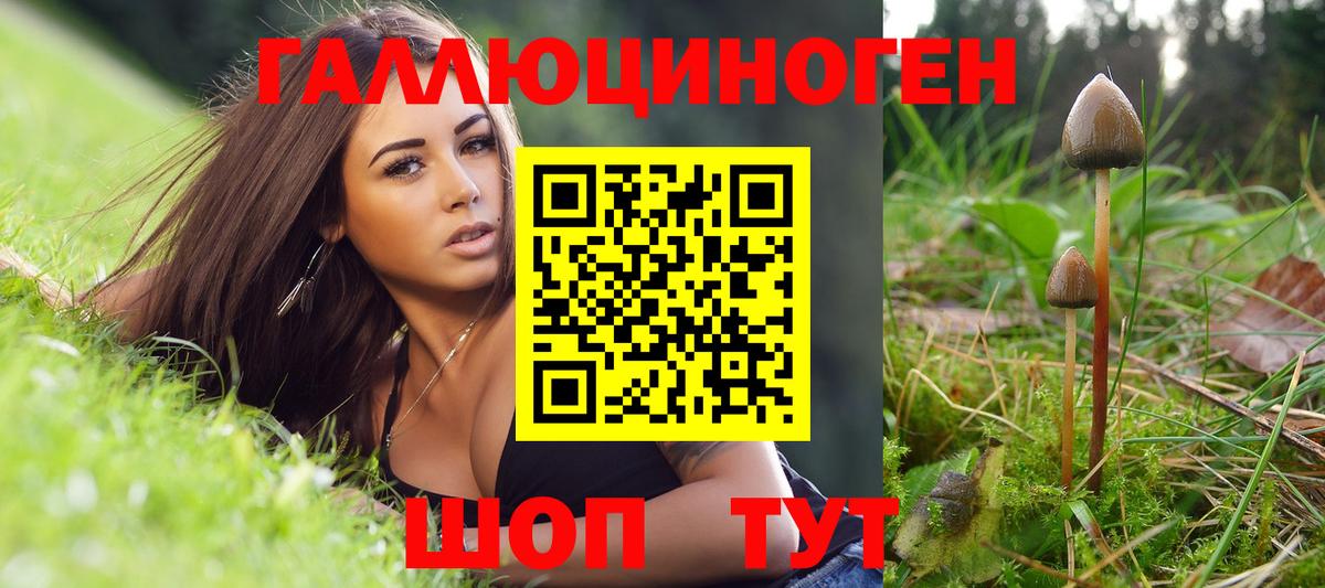 Псилоцибиновые грибы Psilocybe  даркнет сайт  Псилоцибиновые грибы ЛСД  Чистополь  Вход с VPN 